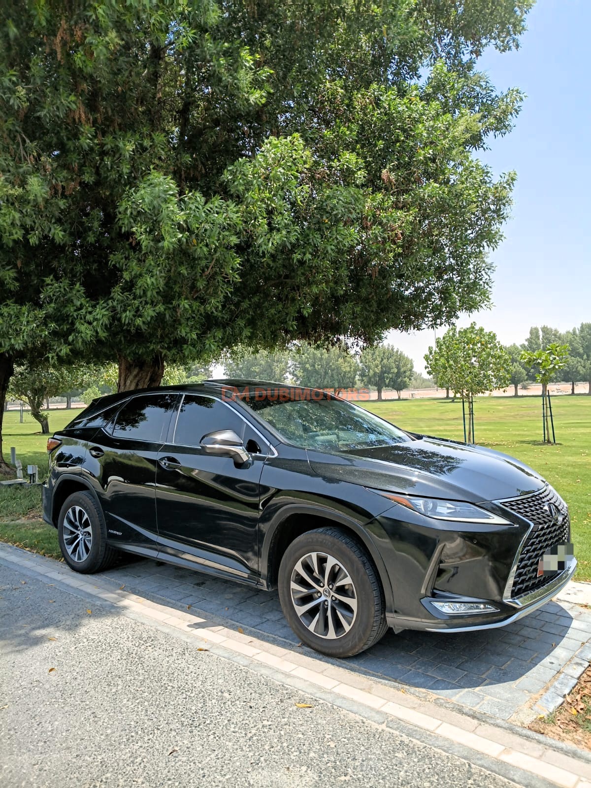 2020 Lexus RX 450h for Sale in Abu Dhabi, photo 13 of 18
