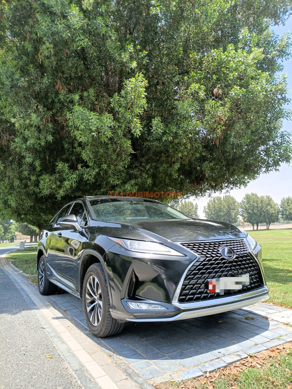 2020 Lexus RX 450h for Sale in Abu Dhabi, photo 14 of 18